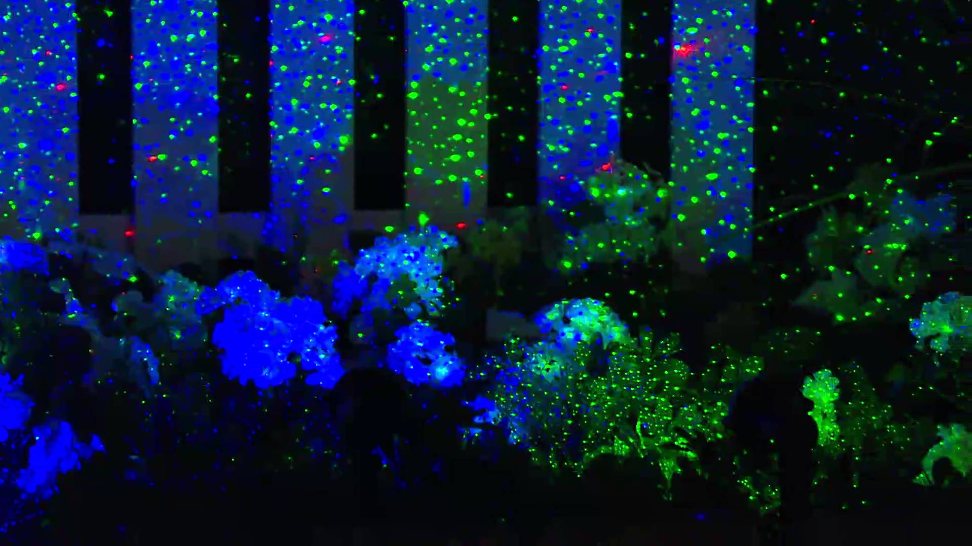 motion laser light show