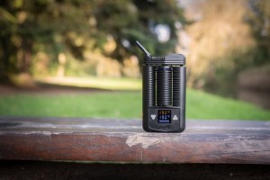 Mighty Vaporizer at the Park