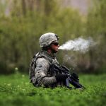 veterans medical weed medicine